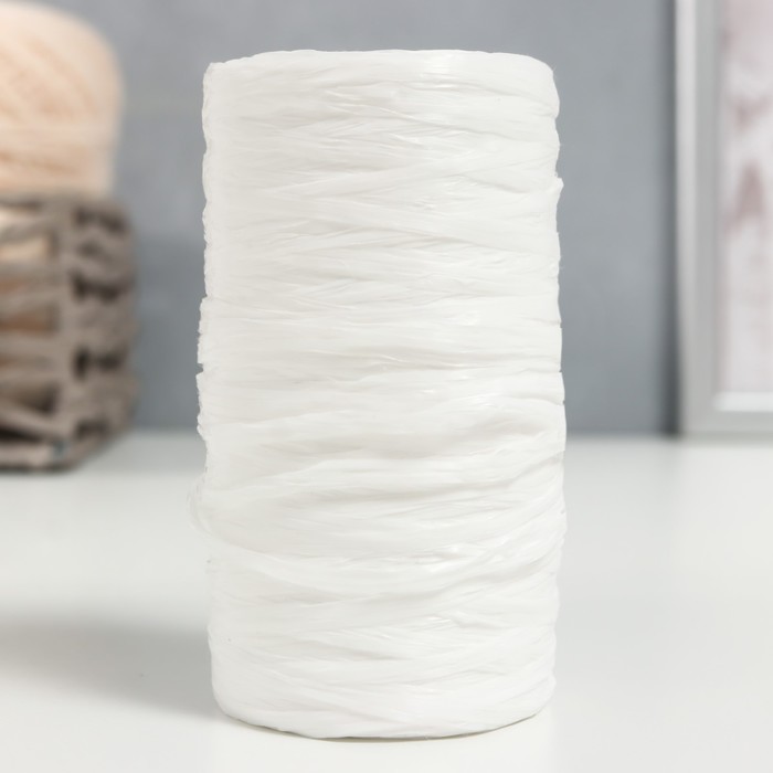Пряжа "Для вязания мочалок" 100% полипропилен 300м/75±10 гр (белый матовый) оптом