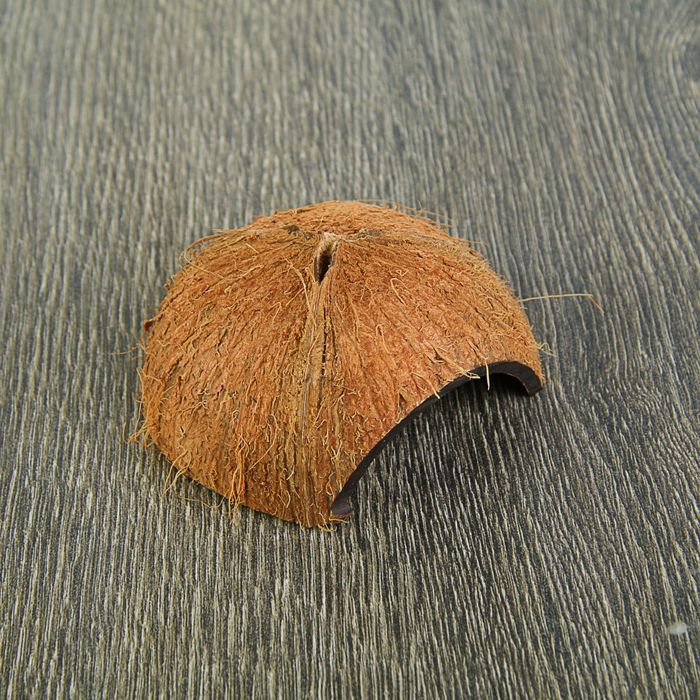 Скорлупа кокосовая 1/2 для рептилий и грызунов, M оптом