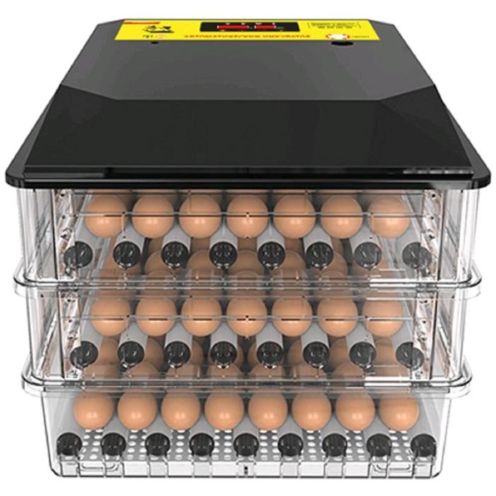 Инкубатор автоматический SITITEK 196, вместимость до 196 яиц, 220 В оптом
