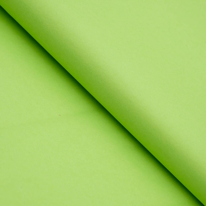 Бумага цветная тишью шёлковая, 510 х 760 мм, Sadipal, 1 лист, 17 г/м2, зелёная оптом