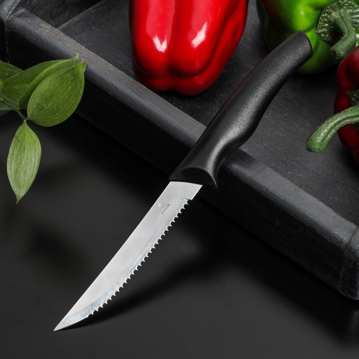 Нож Доляна «Грайм» для мяса, зубчатое лезвие 11,5 см, цвет чёрный оптом
