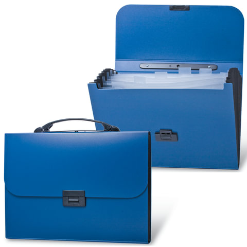 Папка-портфель пластиковая BRAUBERG "Energy" А4 (330х256х32 мм), 7 отделений, синяя, 222572 оптом