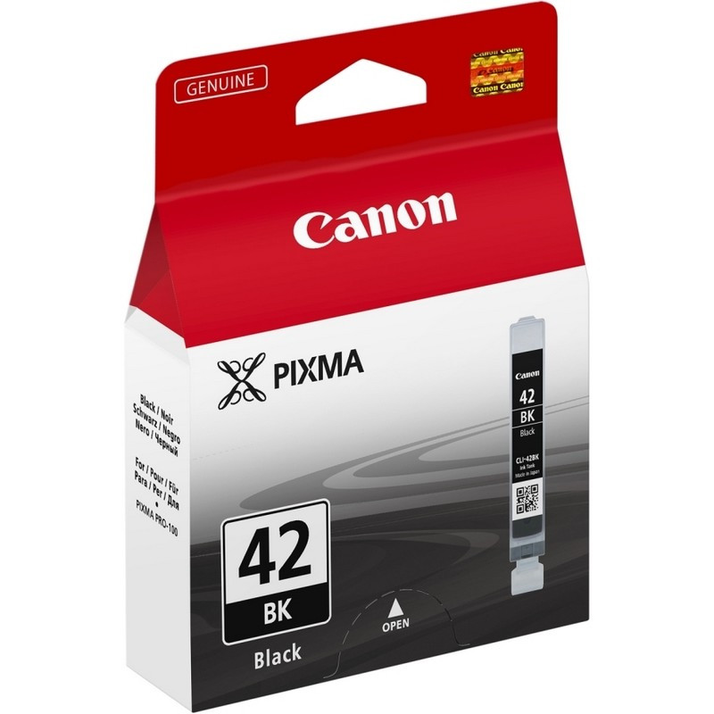   Canon CLI-42Bk (6384B001) .  Pixma Pro-100 