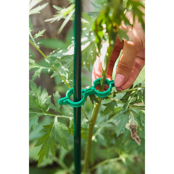 Кольцо-фиксатор для растений, d = 20 мм, набор 20 шт., зелёный оптом