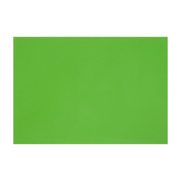 Картон цветной тонированный А3, 200 г/м2, зелёный оптом