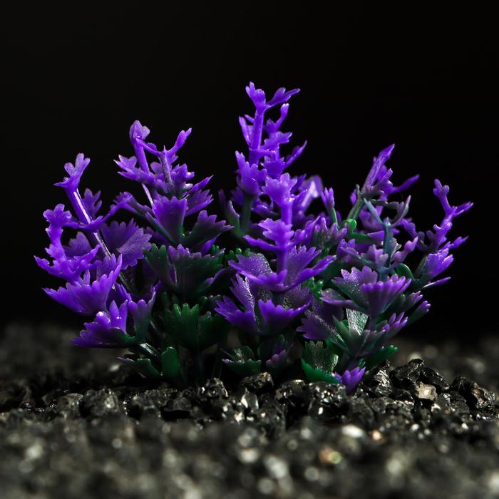 Растение искусственное аквариумное, 5 см, фиолетовое оптом