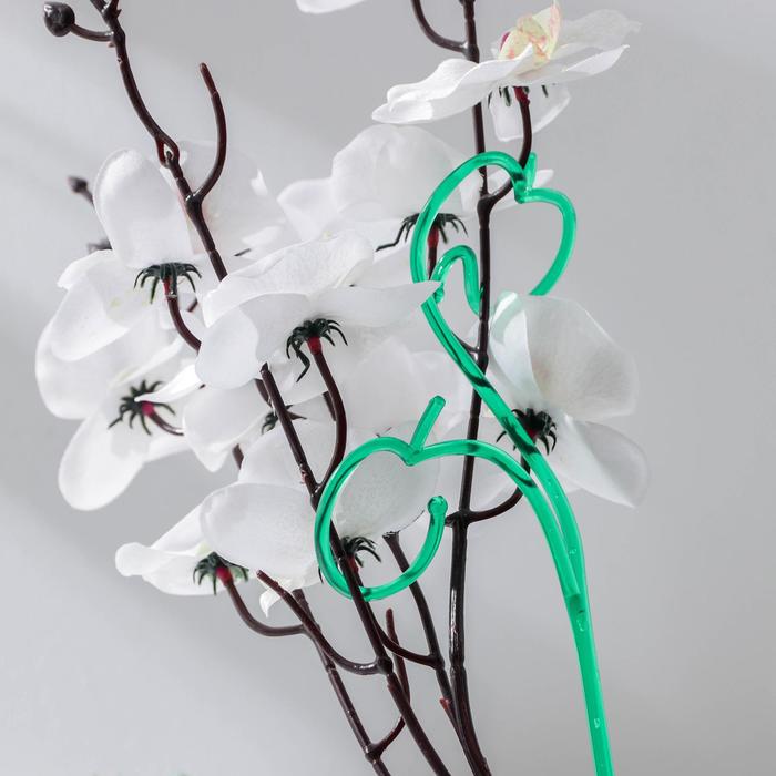 Держатель для орхидеи, h=60 см, цвет зелёный оптом
