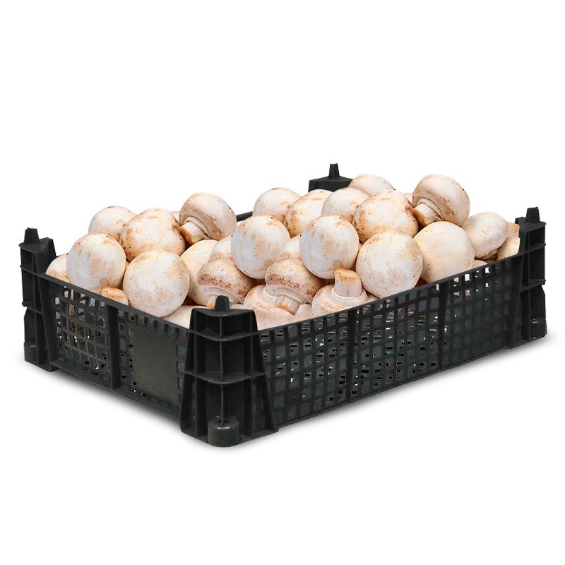 Ящик для грибов шампиньонов 400x300x110_черный арт.101 оптом