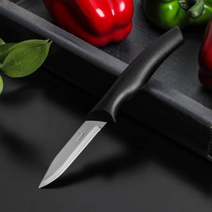 Нож Доляна «Грайм» овощной, лезвие 7,5 см, цвет чёрный оптом